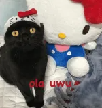 ola uwu Discord sticker