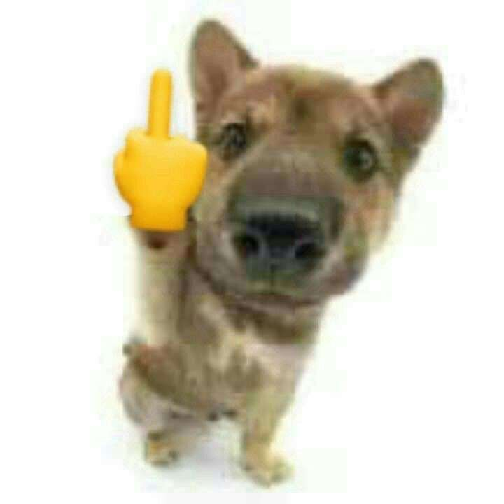 puto Discord sticker