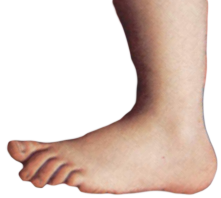 montyFoot Discord sticker