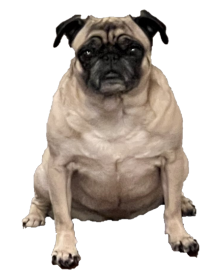 Lily Discord sticker