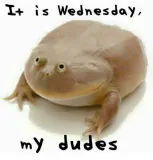 It is Wednesday, my dudes Discord sticker