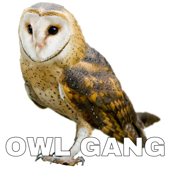 OWL GANG Discord sticker