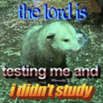 please send help Discord sticker