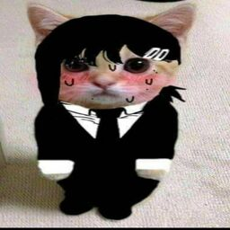 Kobeni cat Discord sticker