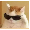 ismart_billa Discord sticker