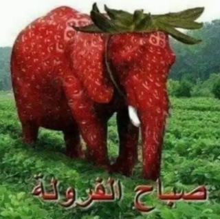 صباح الفراولة Discord sticker