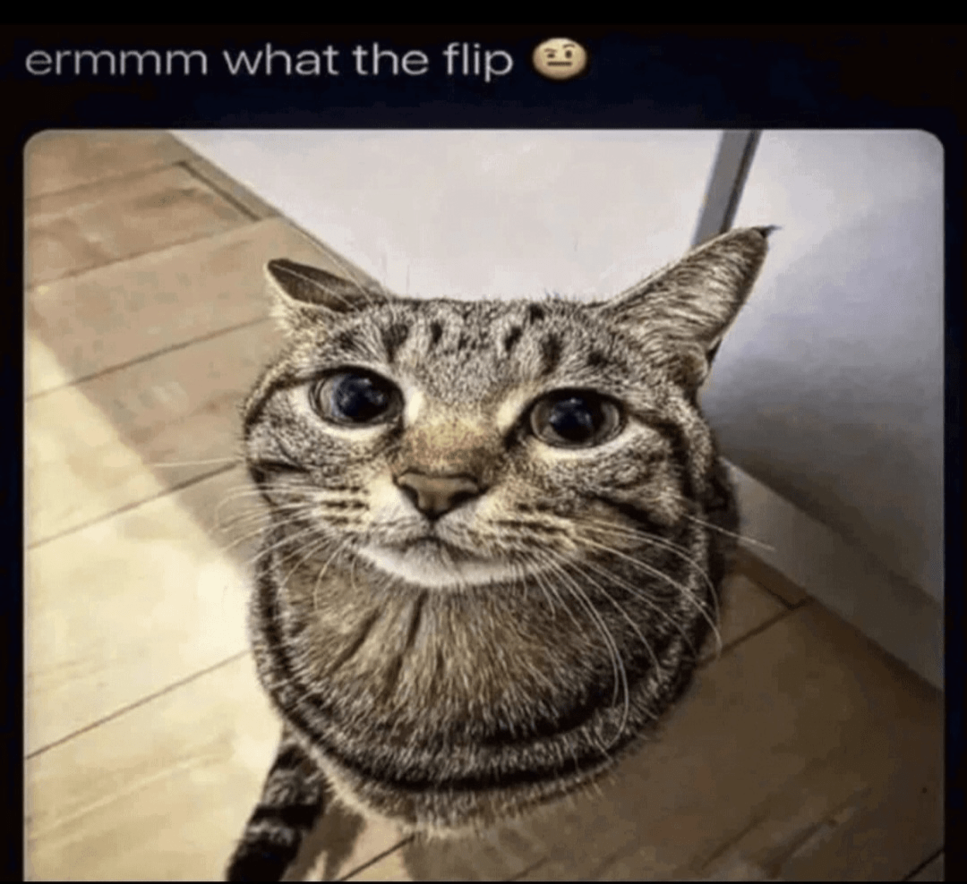 What_the_flip Discord sticker