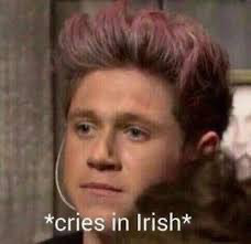 cries in irish