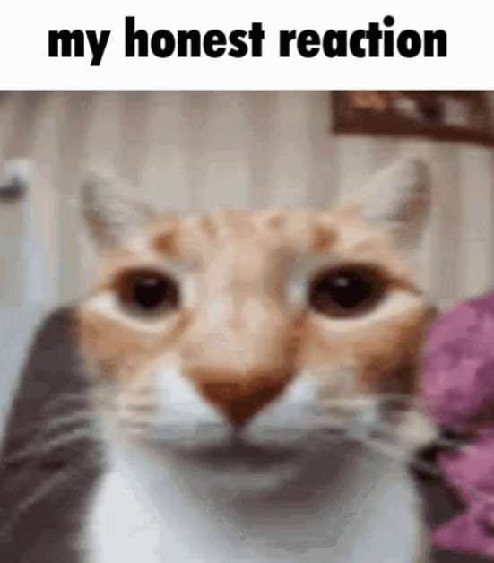 my honest reaction