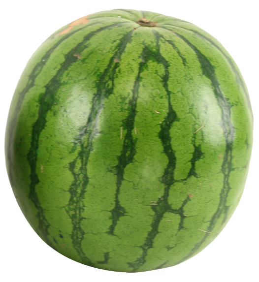 rtx melon