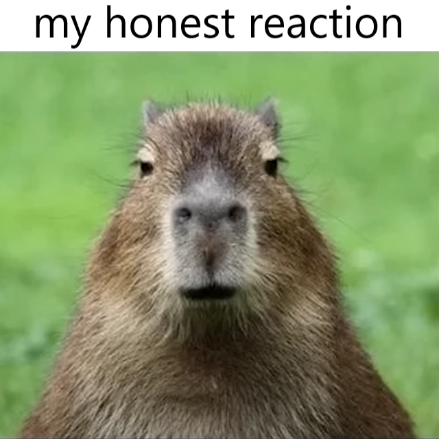 im Capybara My Honest Reaction