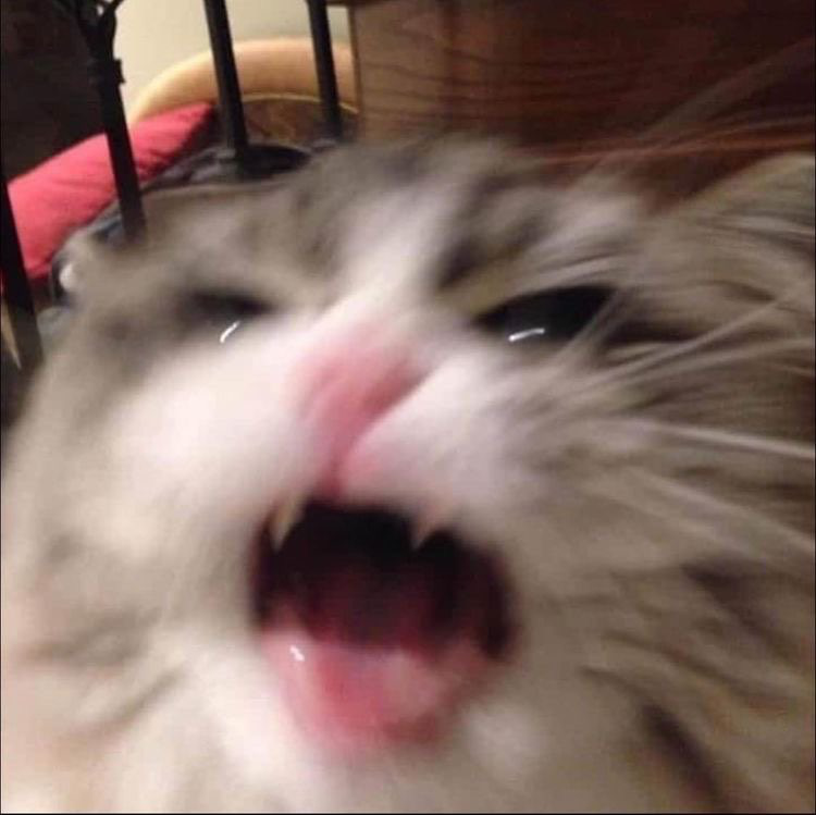 raaaaaaaaaaaah Discord sticker