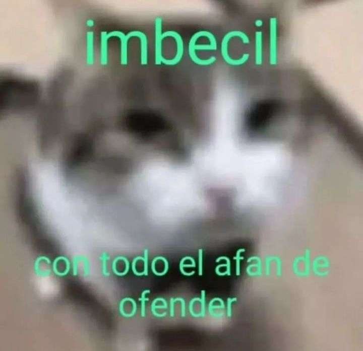imbecil Discord sticker