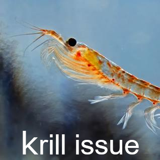 krill issue Discord sticker