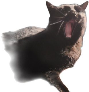 Mouse Rawr Discord sticker
