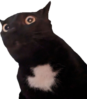 Benji Discord sticker