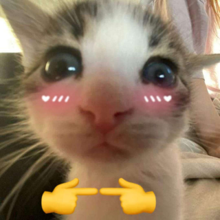 gatouwu Discord sticker