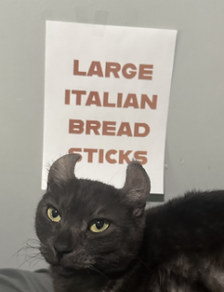 Large Italian Breadsticks