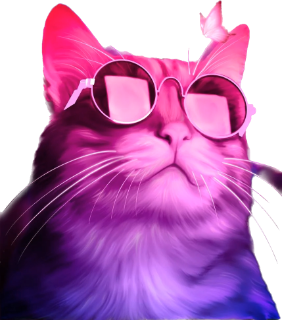 cat Discord sticker