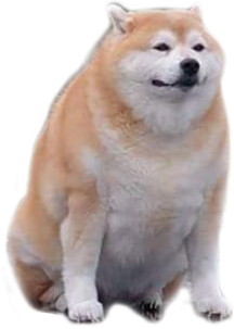 doggo Discord sticker
