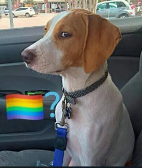 Tu é né Discord sticker
