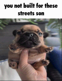 Streets  Discord sticker
