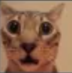 bro what Discord sticker