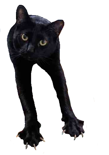 grabby Discord sticker