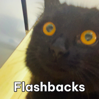 Cat flashbacks Discord sticker