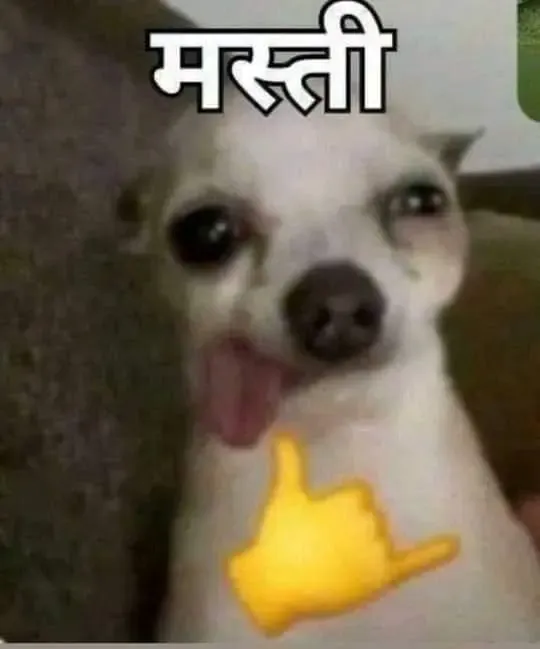 masti Discord sticker