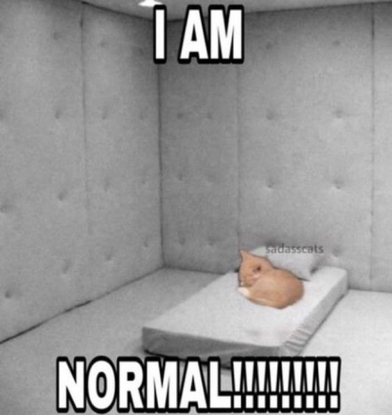 I AM NORMAL!!!!
