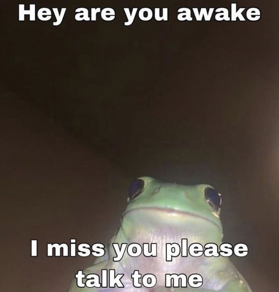 are u awake.. i miss u