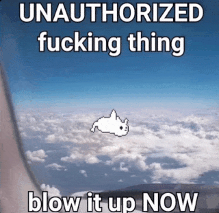 Unauthorized Cat Discord sticker
