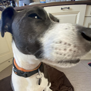 tucker side-eye /reading DNS