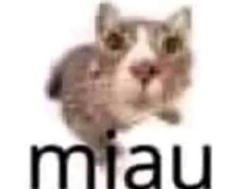 miau Discord sticker