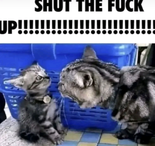 shut up  Discord sticker