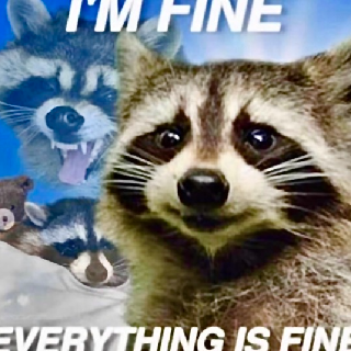 racoon im fine Discord sticker