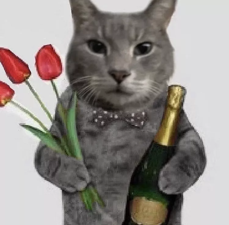 cat gentleman Discord sticker