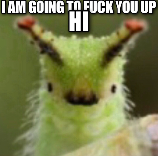 i'm going to fuck you up- hi
