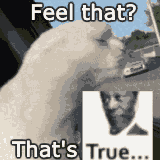 Feel that? That's true