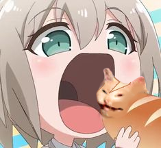 NomCat Discord sticker