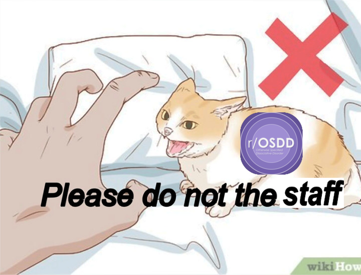 r/OSDD Staff Cat