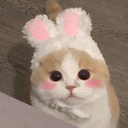CatBlush Discord sticker