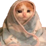 sadcat Discord sticker