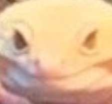 Overyourshit Discord sticker