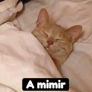 A mimir Discord sticker