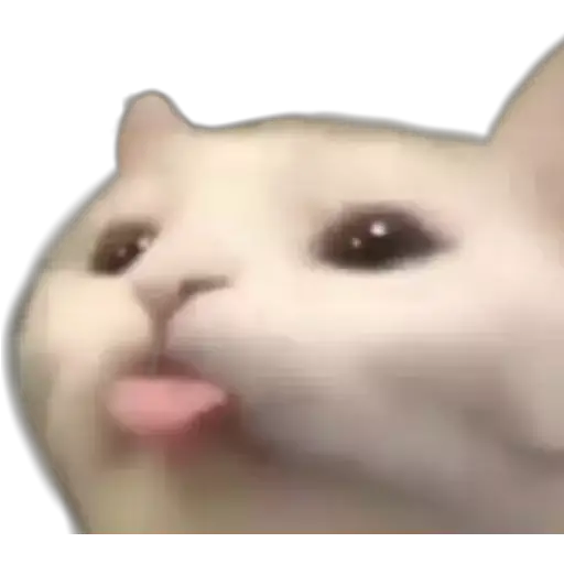 :p Discord sticker