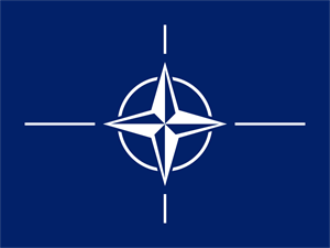 nato Discord sticker