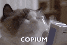 Copium Cat Discord sticker