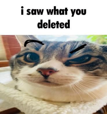 I saw what you deleted